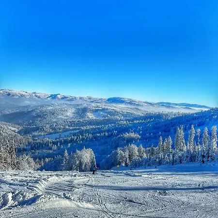 Διαμέρισμα Przy Stoku I Potoku