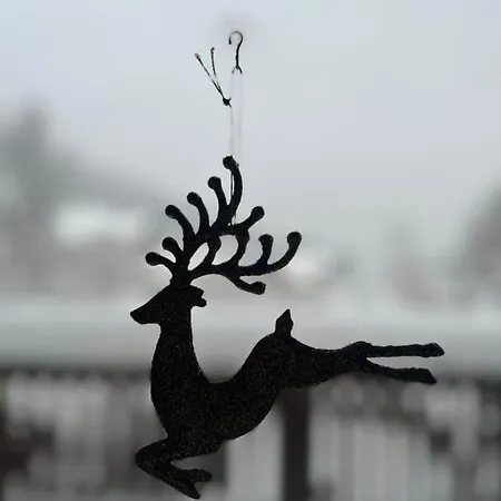 Przy Stoku I Potoku Apartment Weichsel