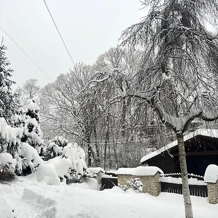 Διαμέρισμα Przy Stoku I Potoku *