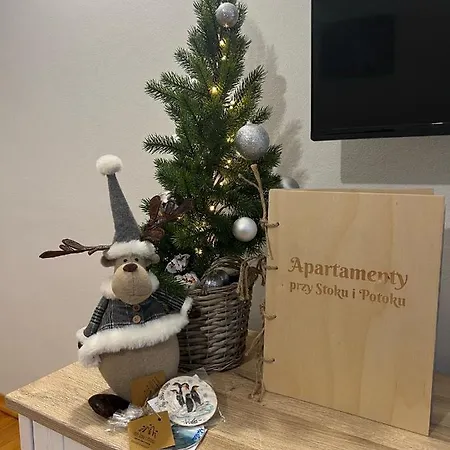 Przy Stoku I Potoku Apartman Wisła