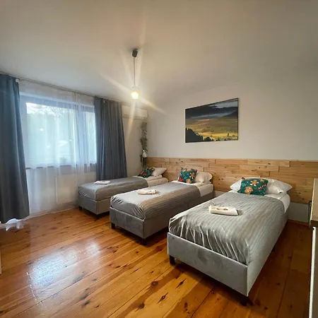 アパート Przy Stoku I Potoku ヴィスワ