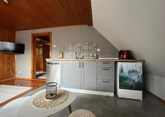 Przy Stoku I Potoku Apartment Wisla