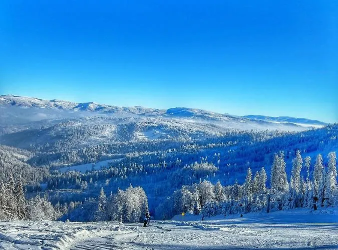 アパート Przy Stoku I Potoku