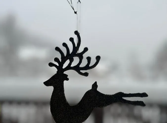 Przy Stoku I Potoku Apartment Wisla