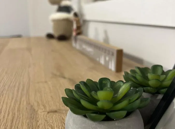 Przy Stoku I Potoku ヴィスワ