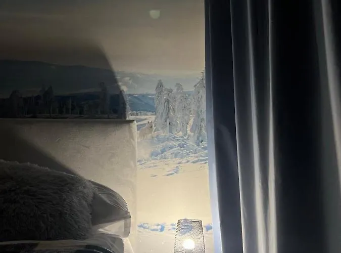 アパート Przy Stoku I Potoku ヴィスワ