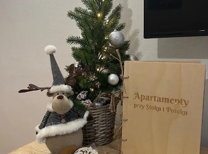 Przy Stoku I Potoku Apartment Wisla