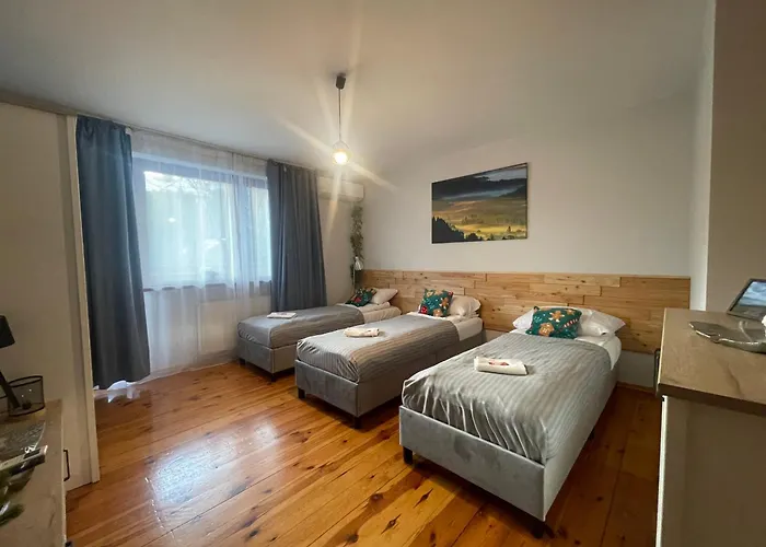 アパート Przy Stoku I Potoku ヴィスワ